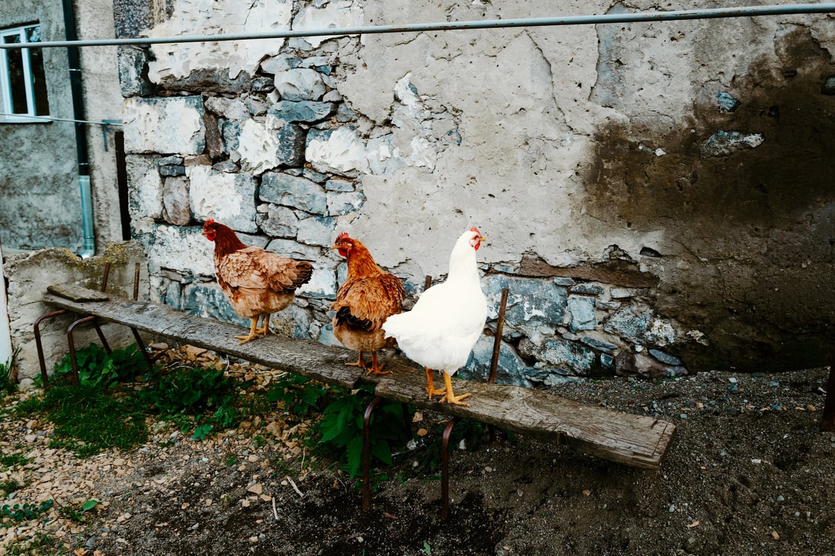 A Home Already Lost — Tsalka, Georgia — frame